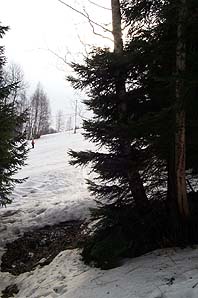 P0005606.jpg (17114 bytes)