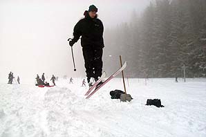 P0005857.jpg (9363 bytes)