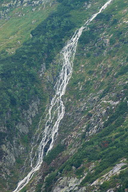 2006-08-11_13-07-40_Yarda__.IMGP7087.jpg