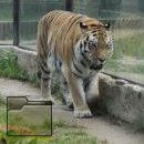 Složka zoo