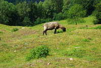 Náhled fotky fotky/0718-foto/