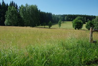Náhled fotky fotky/0721/