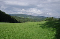 Náhled fotky fotky/priroda/