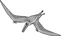 Pterodaktyl